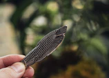 Artistic shot of a hand holding a small, stylish 3D printed hiking trail souvenir.