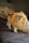 A cat is wearing a round, fluffy collar that resembles a piece of bread or pastry. The cat has an orange and white coat and is walking on a bed with patterned pillows in the background.