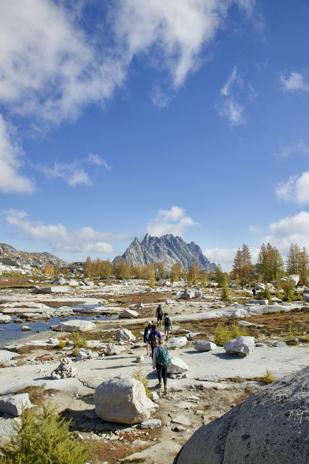 a group of people walking across a rocky field