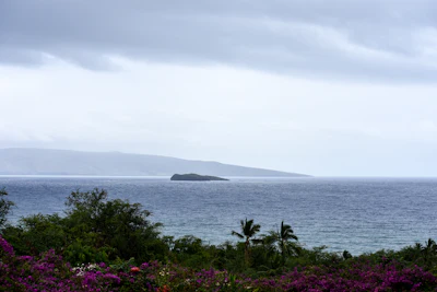 Molokini snorkeling adventure