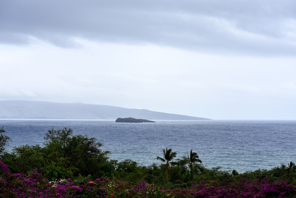 a body of water with a small island in the distance