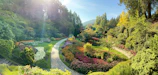 A vibrant backyard with lush greenery and a custom stone pathway winding through colorful flower beds.