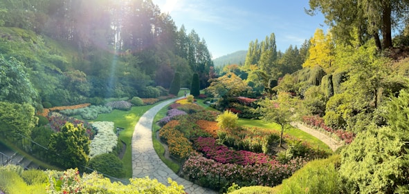 A lush, professionally designed backyard garden with vibrant plants and an elegant stone pathway under soft sunlight.