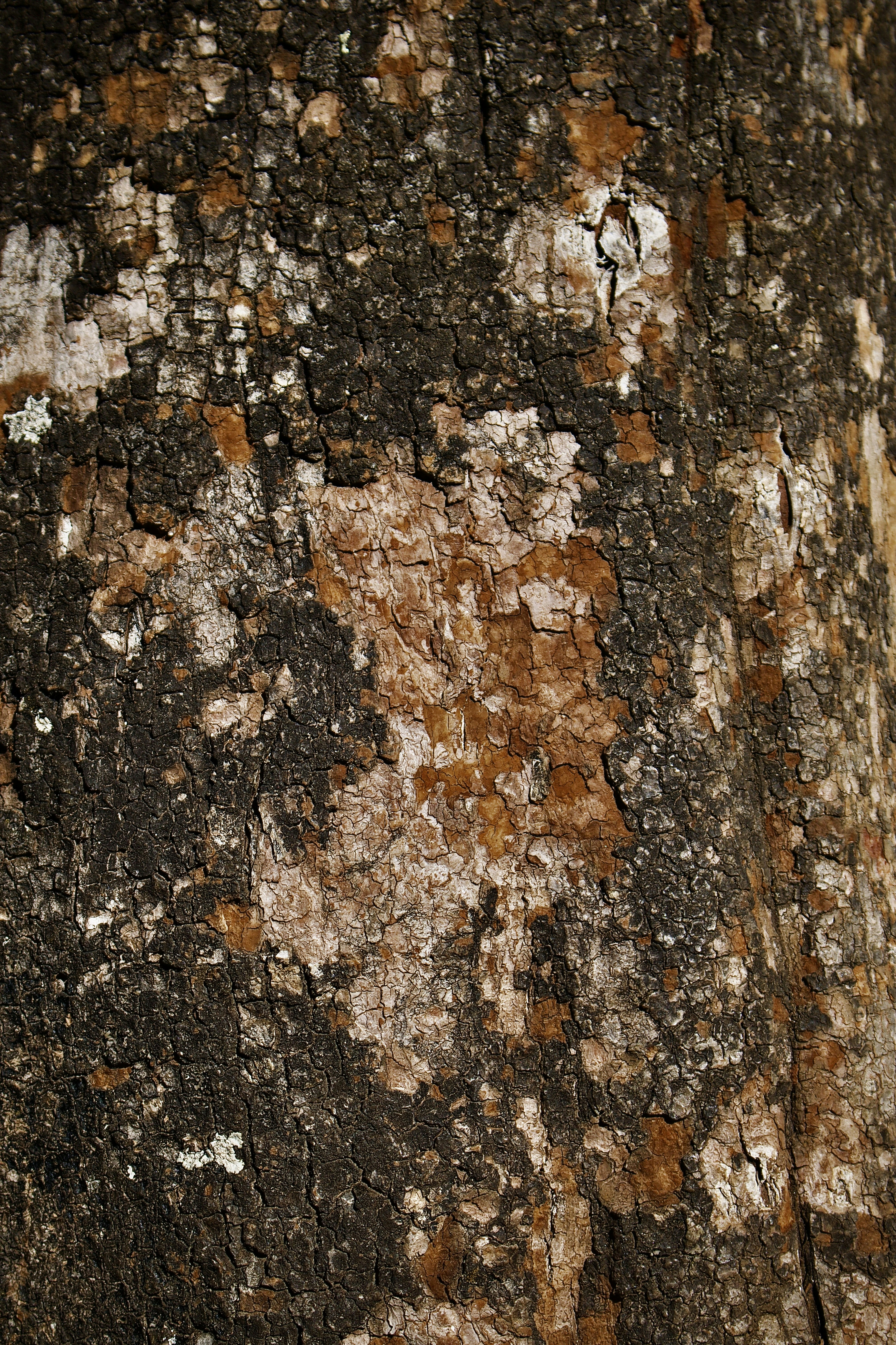 Photo by mishaalzahed