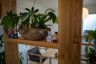 Close-up of colorful 3D printed pots arranged on a wooden shelf in a cozy living room.