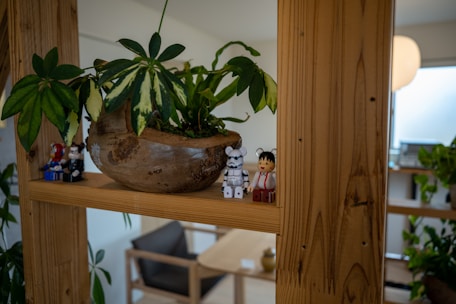 Close-up of colorful 3D printed pots arranged on a wooden shelf in a bright room.