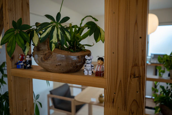 A charming crocheted dragon toy with bright eyes sitting on a rustic wooden shelf surrounded by tiny plants