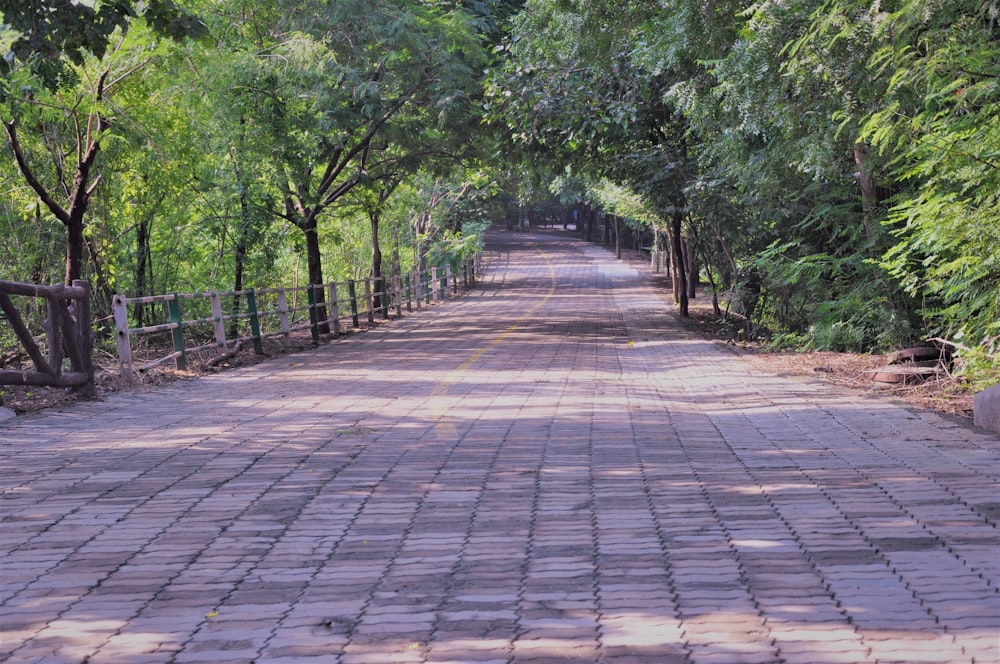 a brick road surrounded by trees and a fence