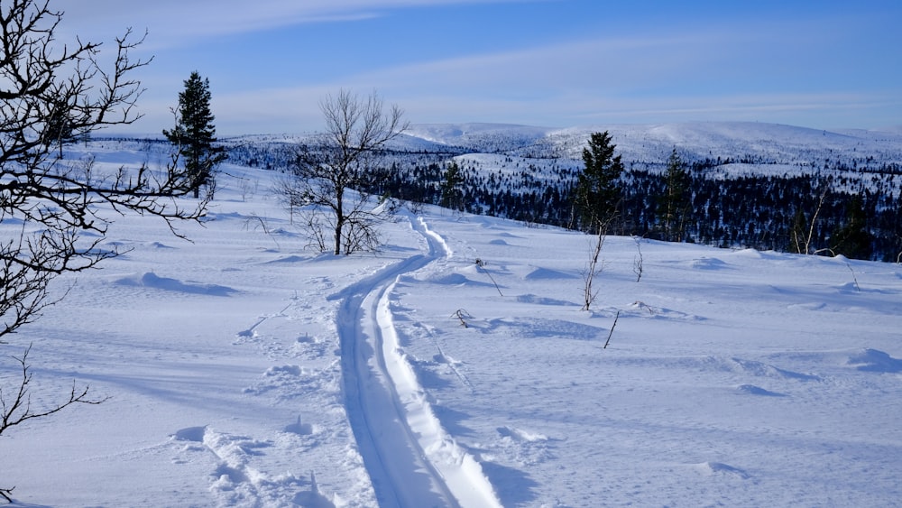 Un sendero en la nieve con árboles y montañas al fondo