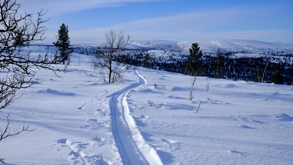 a trail in the snow with trees and mountains in the background