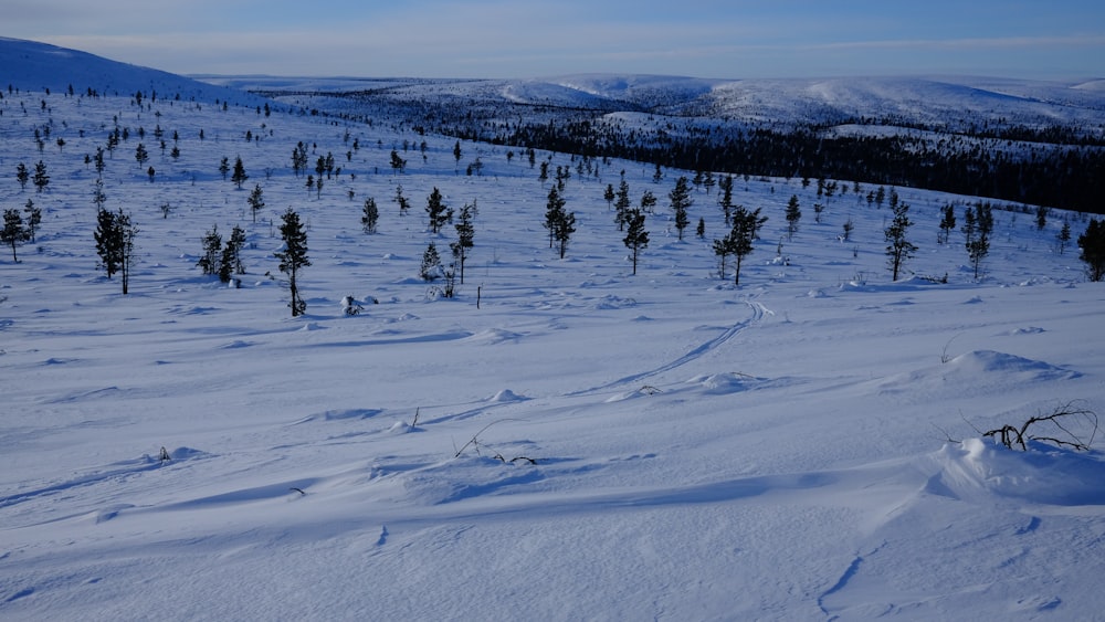 a person riding skis down a snow covered slope