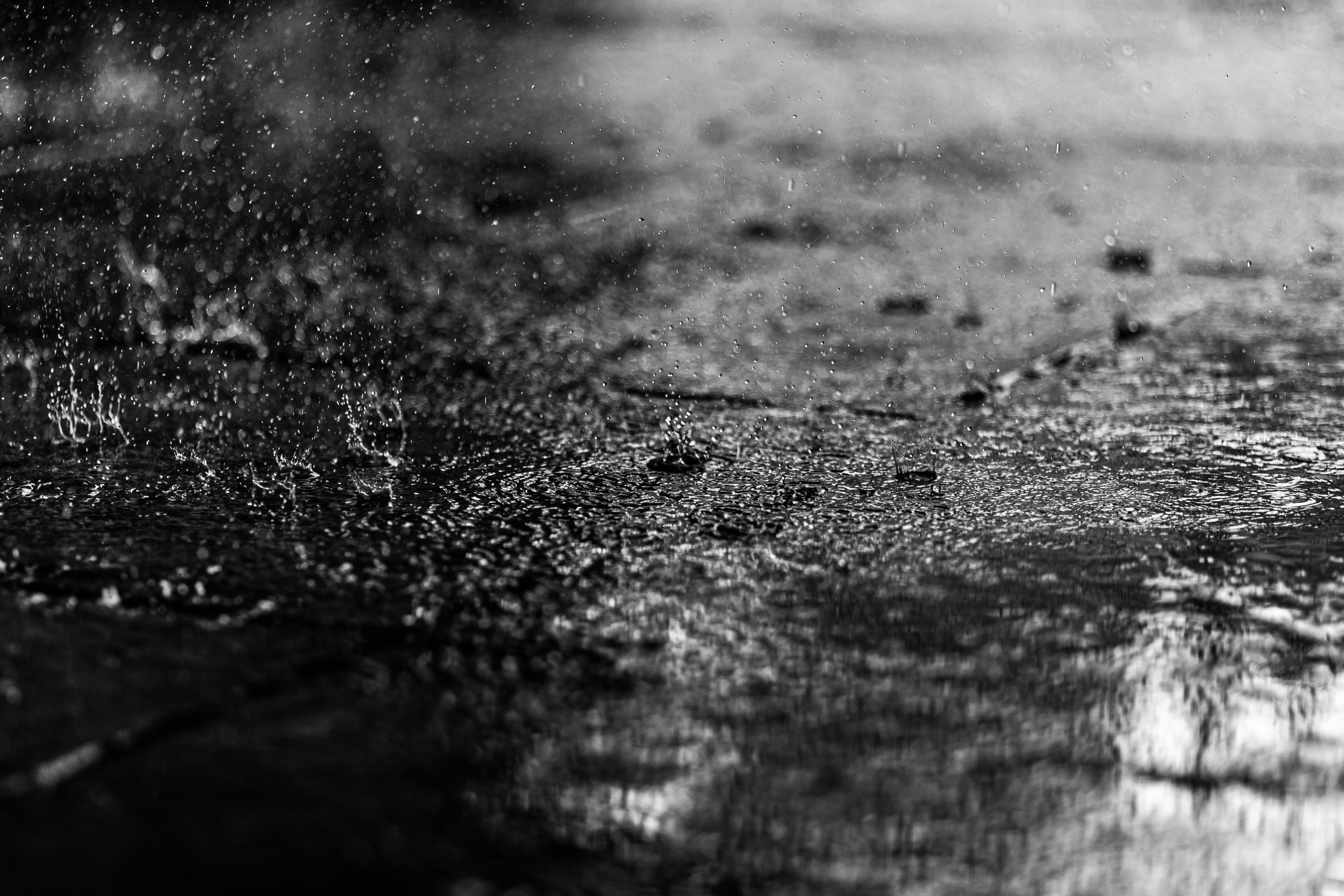 Photo by miguelheezg