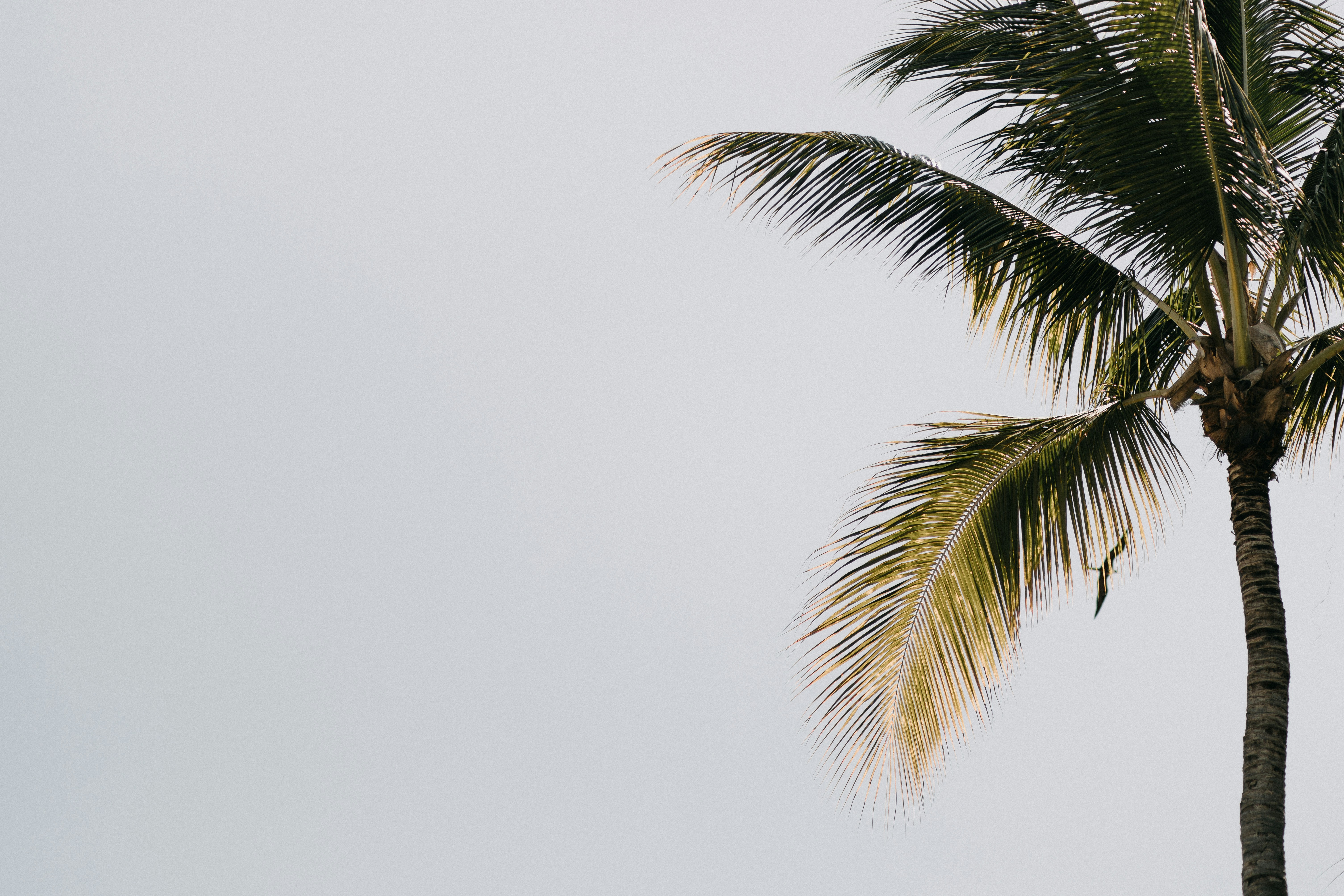 Photo by miguelheezg