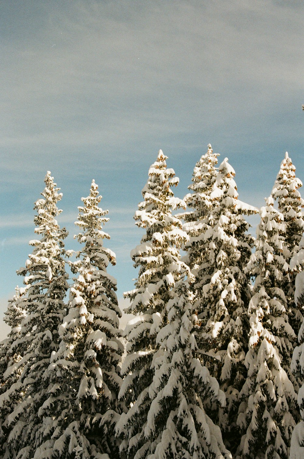 Ein Snowboarder ist mitten in einem Sprung