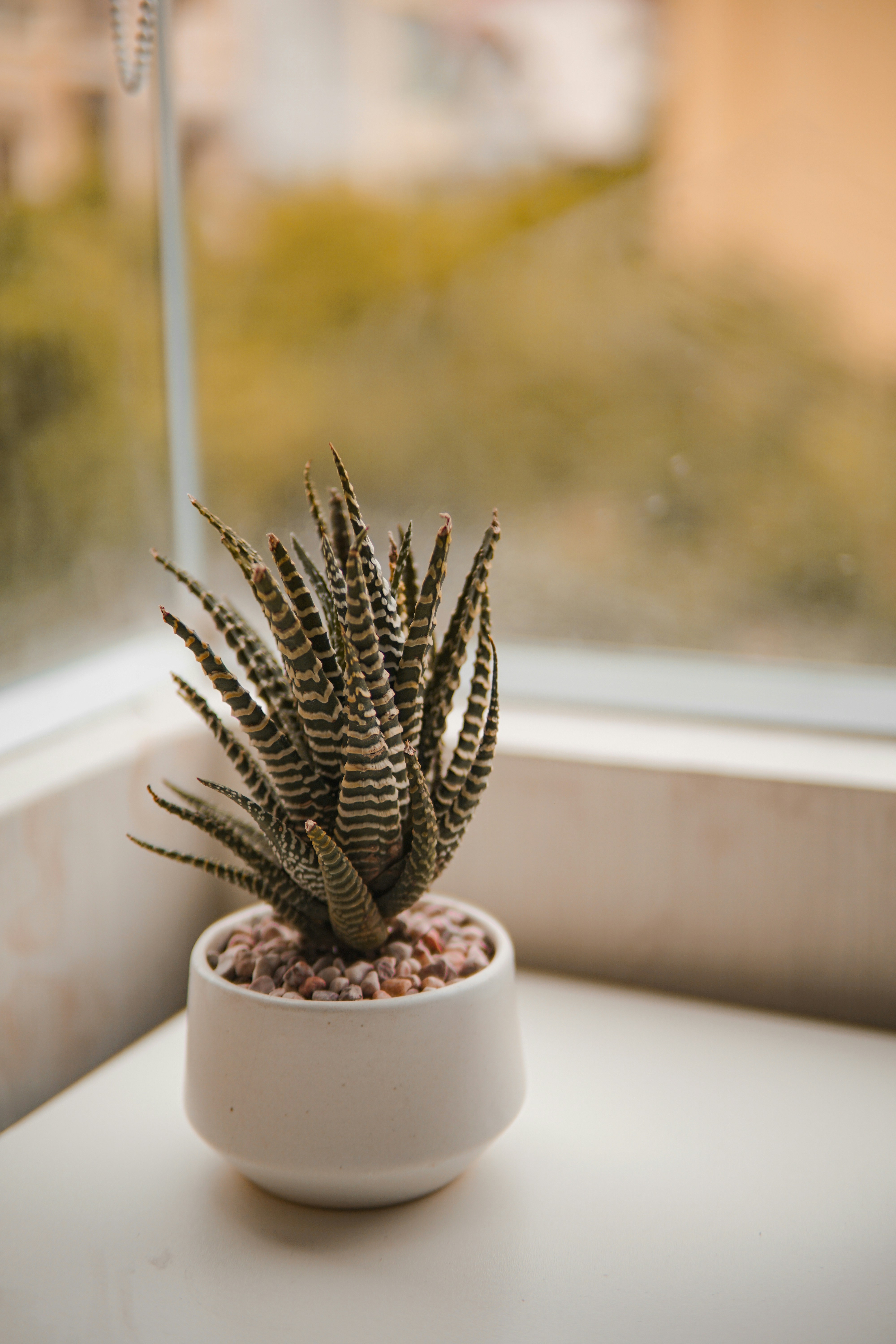 Photo by kientran7559