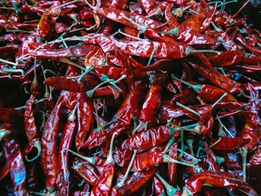Bright red dried chillies arranged in neat rows on a traditional woven mat.