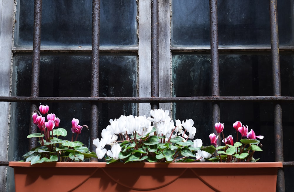 a window sill filled with lots of flowers
