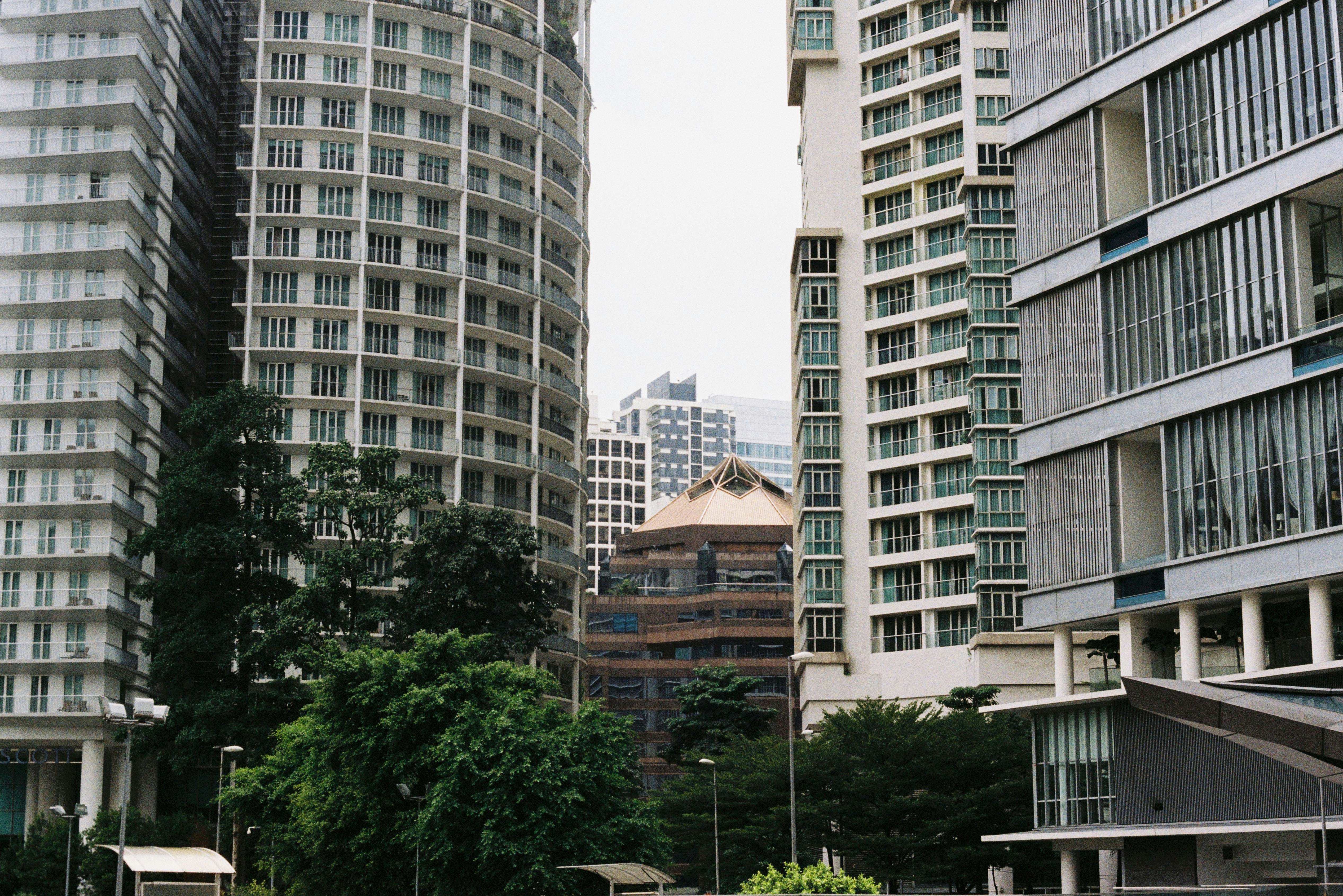 Photo by izumibarton