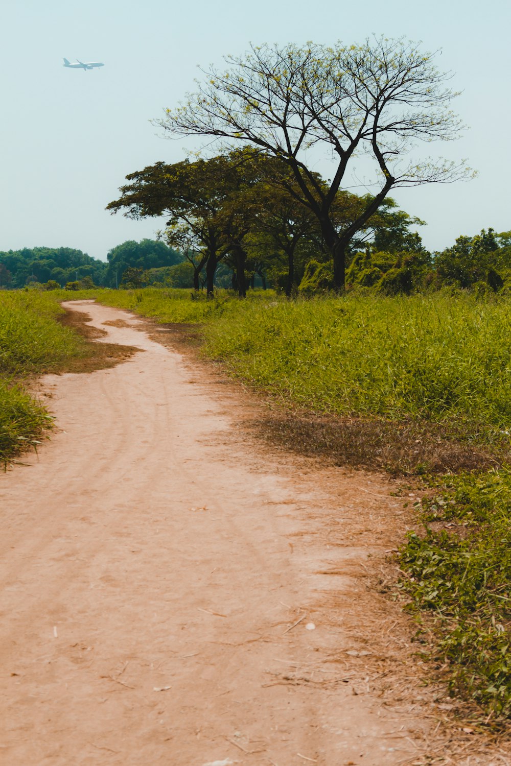 a dirt road in the middle of a field