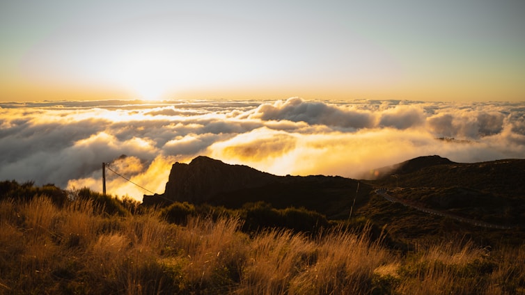 A breathtaking sunset over the lush Garden Route coastline with rolling hills and vineyards in the foreground.