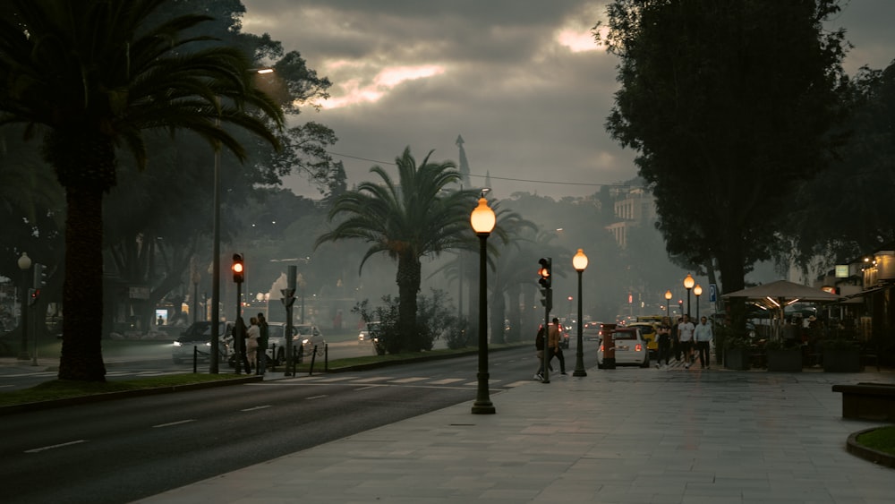 a city street with palm trees and street lights