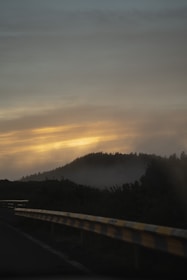 A cinematic view of a misty forest road winding through tall trees at dawn.