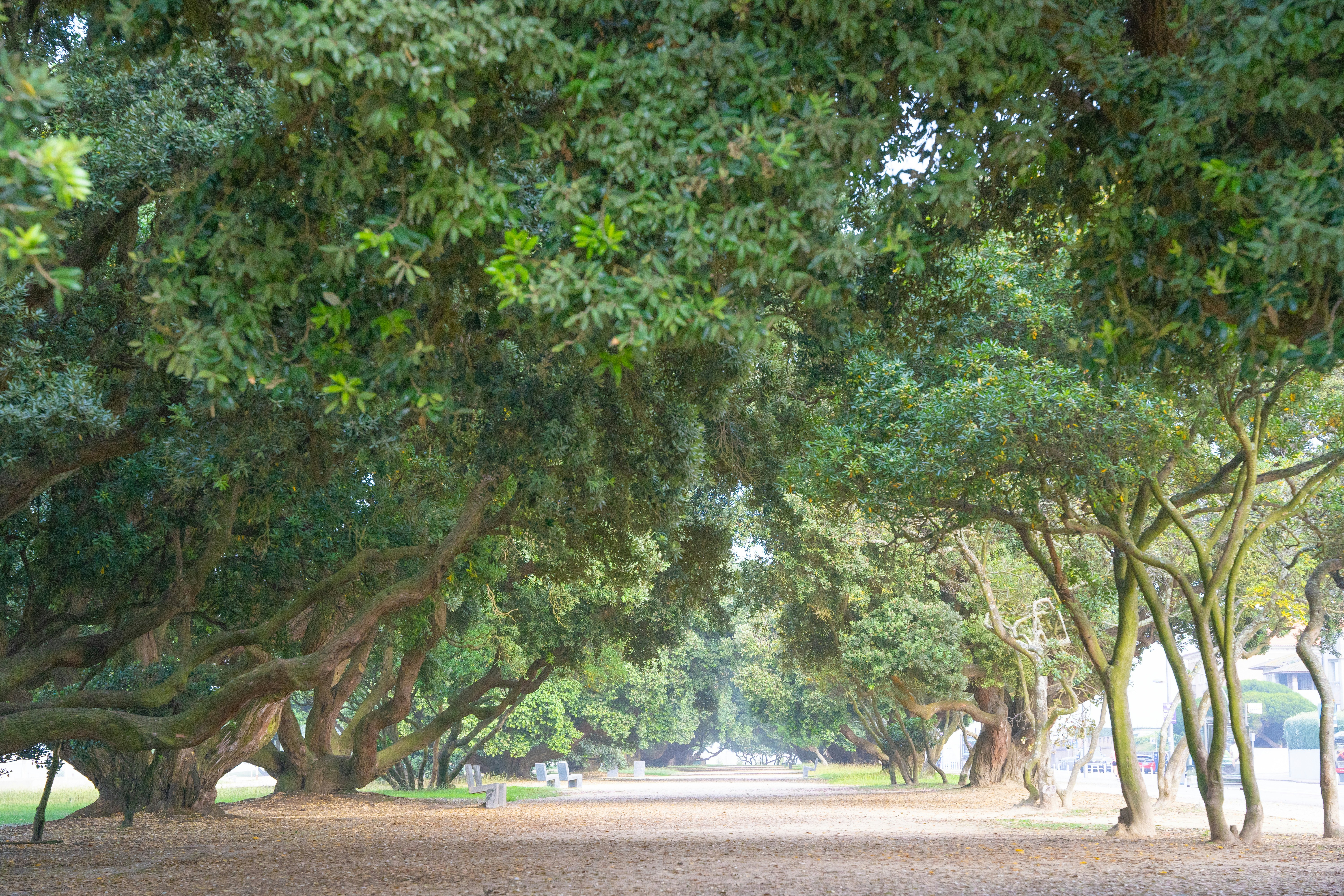 Understanding Self-Image in Multiple Sclerosis