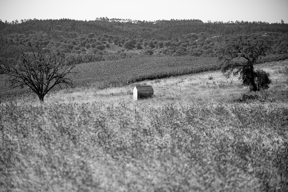 a black and white photo of a hay bail in a field