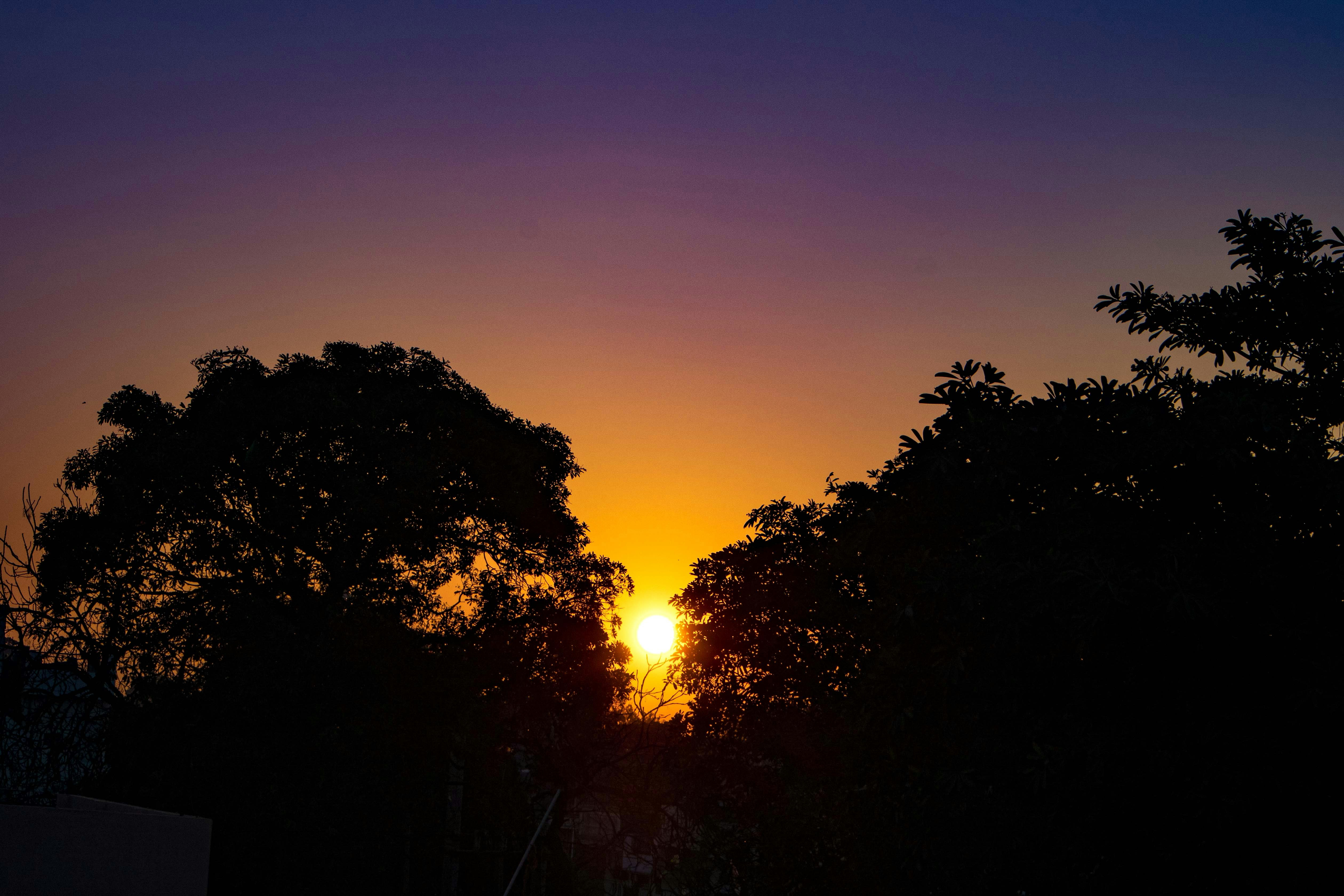 Photo by imdhirajchouhan