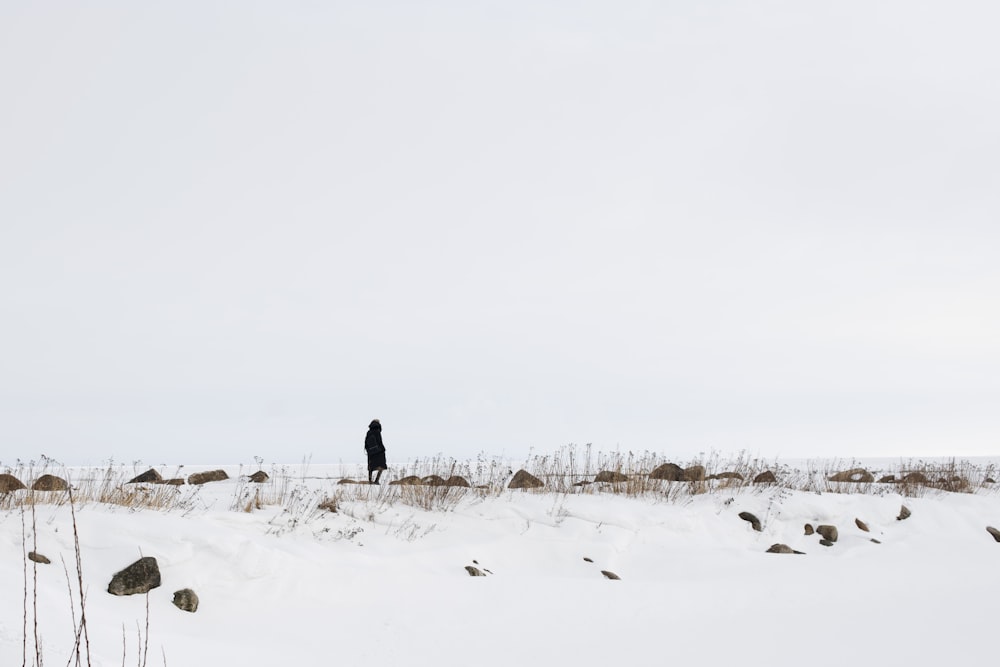a lone person standing on a snowy hill