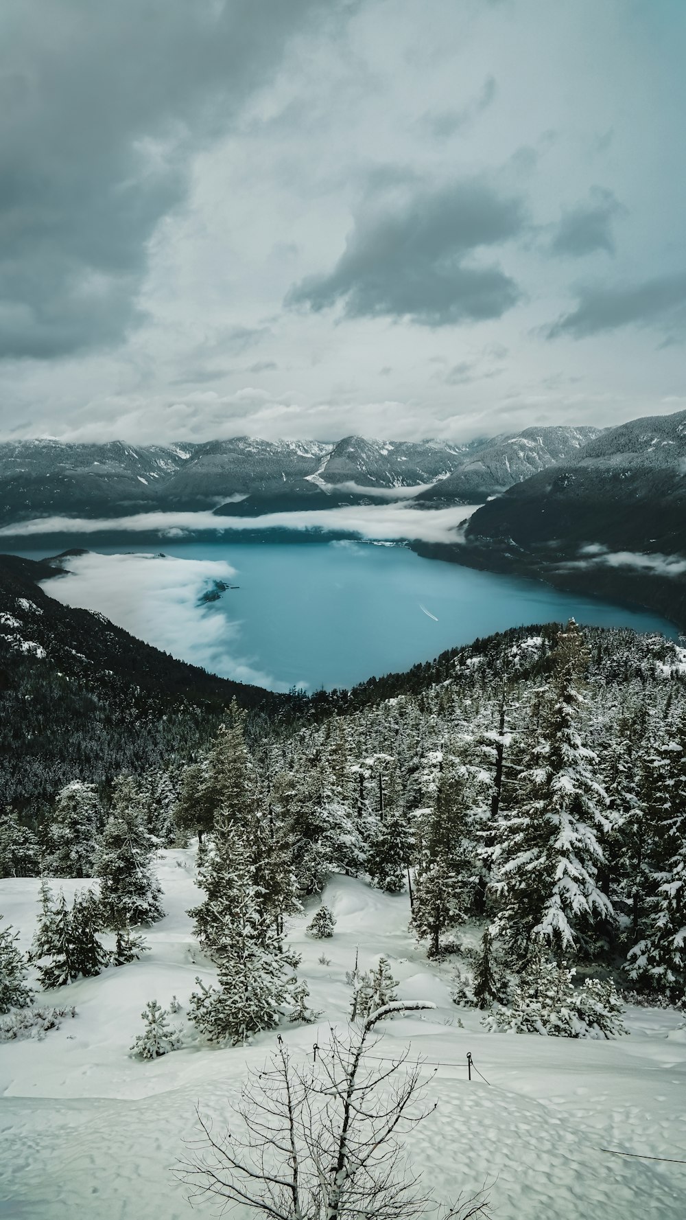 a view of a lake surrounded by snow covered trees