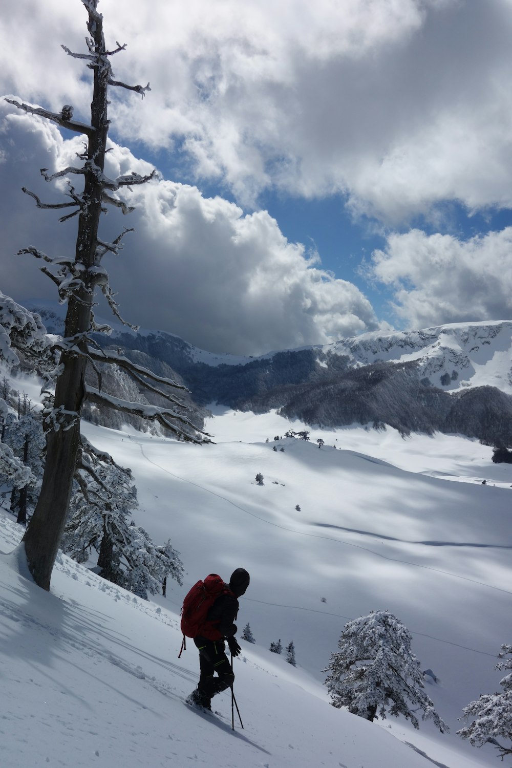 a man riding skis down a snow covered slope