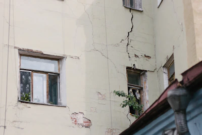 an old building with a broken window and a plant growing out of the window