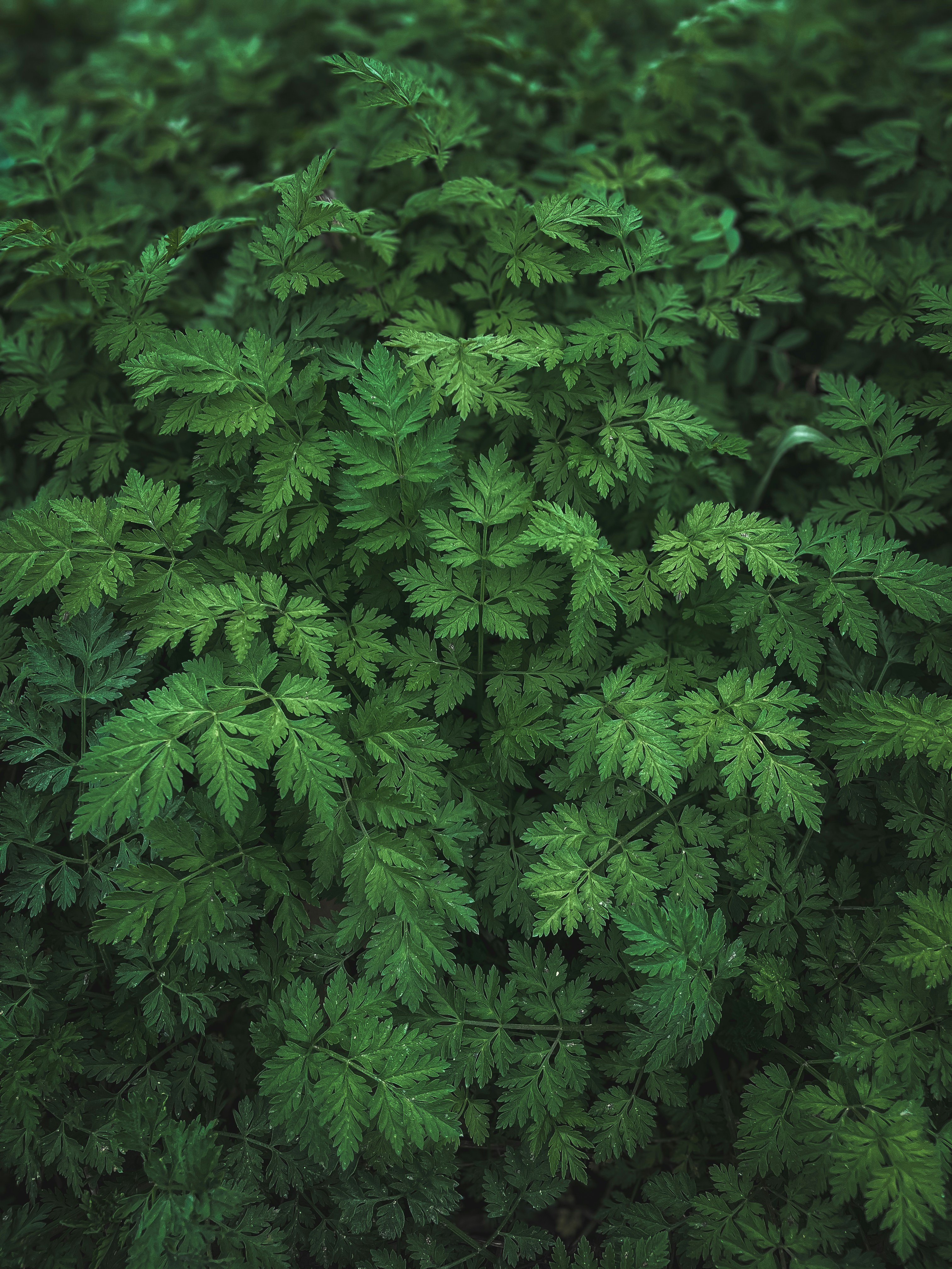 Photo by brice_cooper18