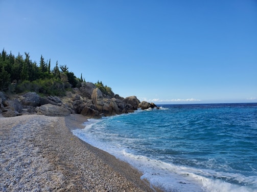 Crystal-clear turquoise waters gently lapping against rugged cliffs and olive trees.