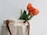 A stylish cotton canvas tote bag displayed on a wooden table with fresh flowers.