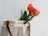 A stylish cotton canvas tote bag displayed on a wooden table with fresh flowers.