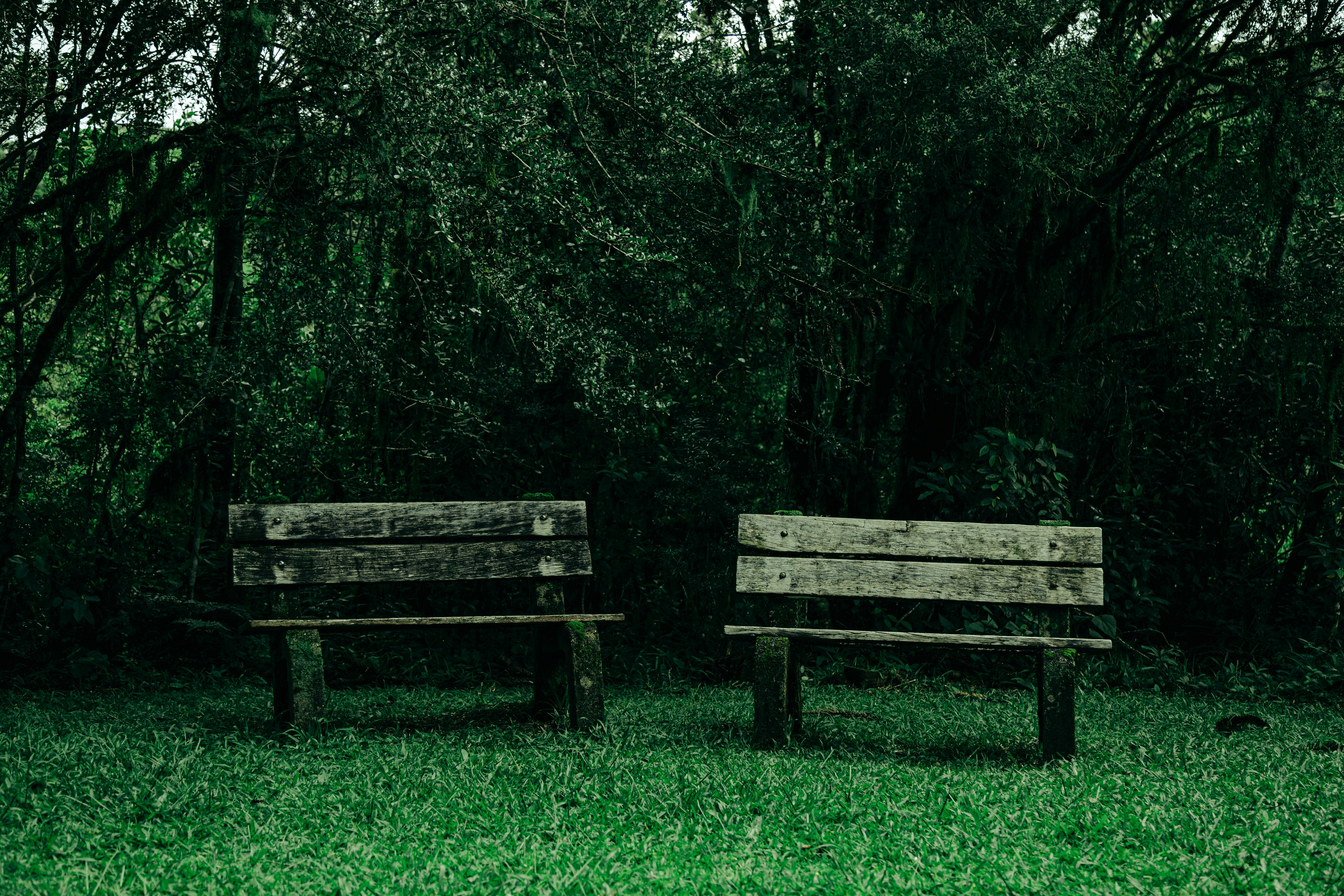 Photo by gabrieluizramos