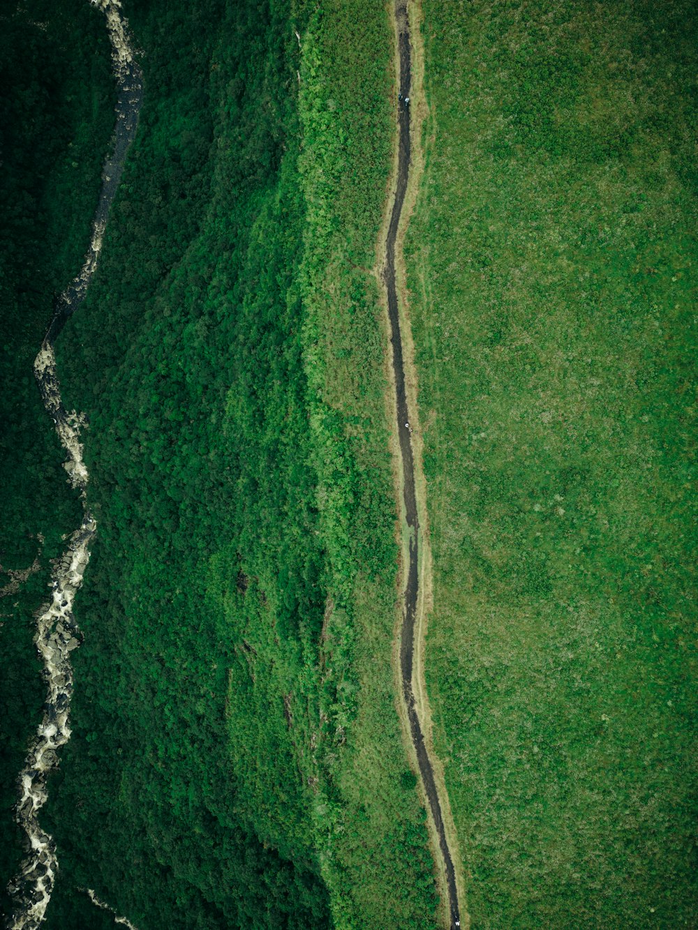 an aerial view of a grassy area with a river running through it