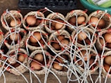 Freshly laid eggs collected in baskets ready for packaging.
