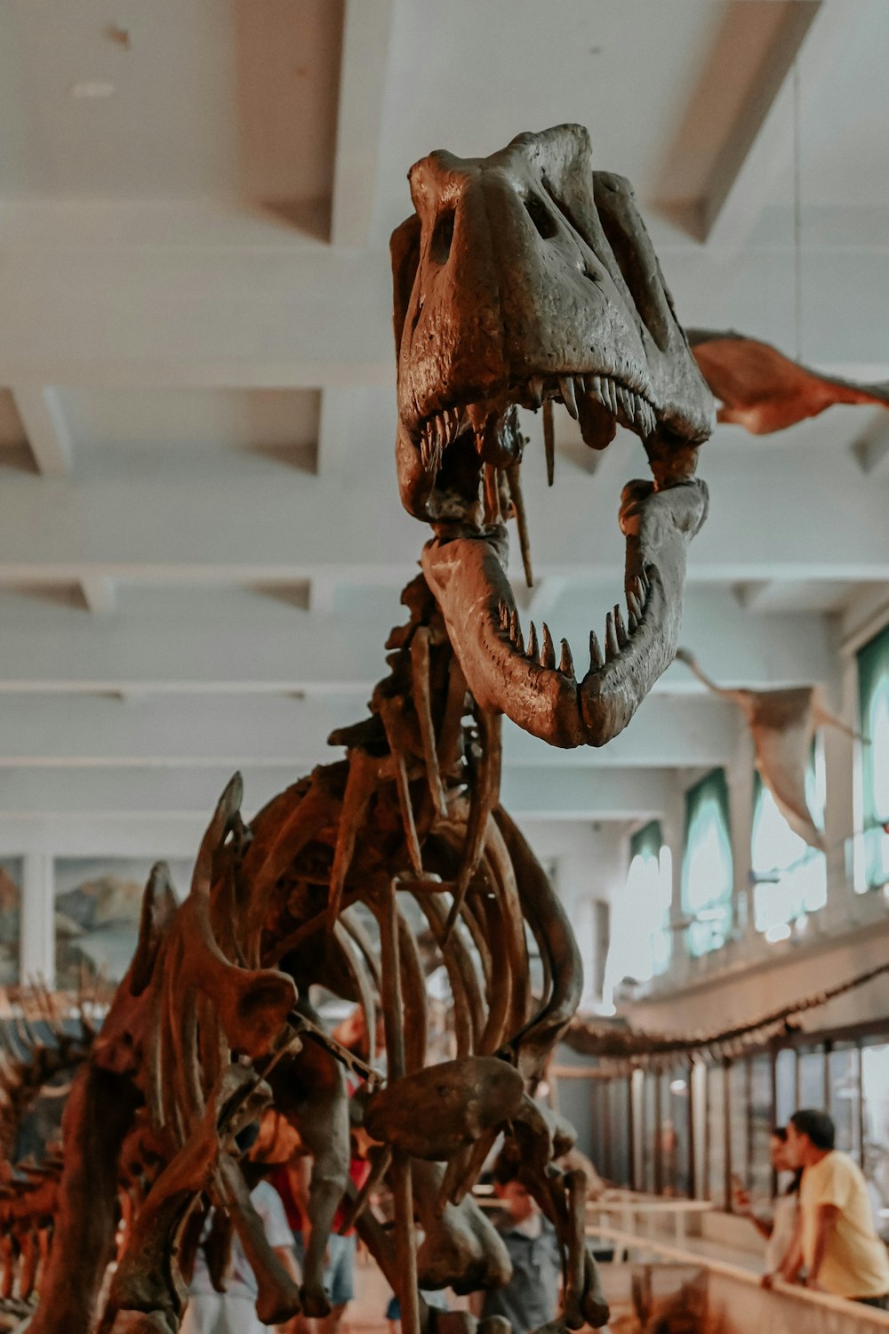 a dinosaur skeleton in a museum with people looking at it