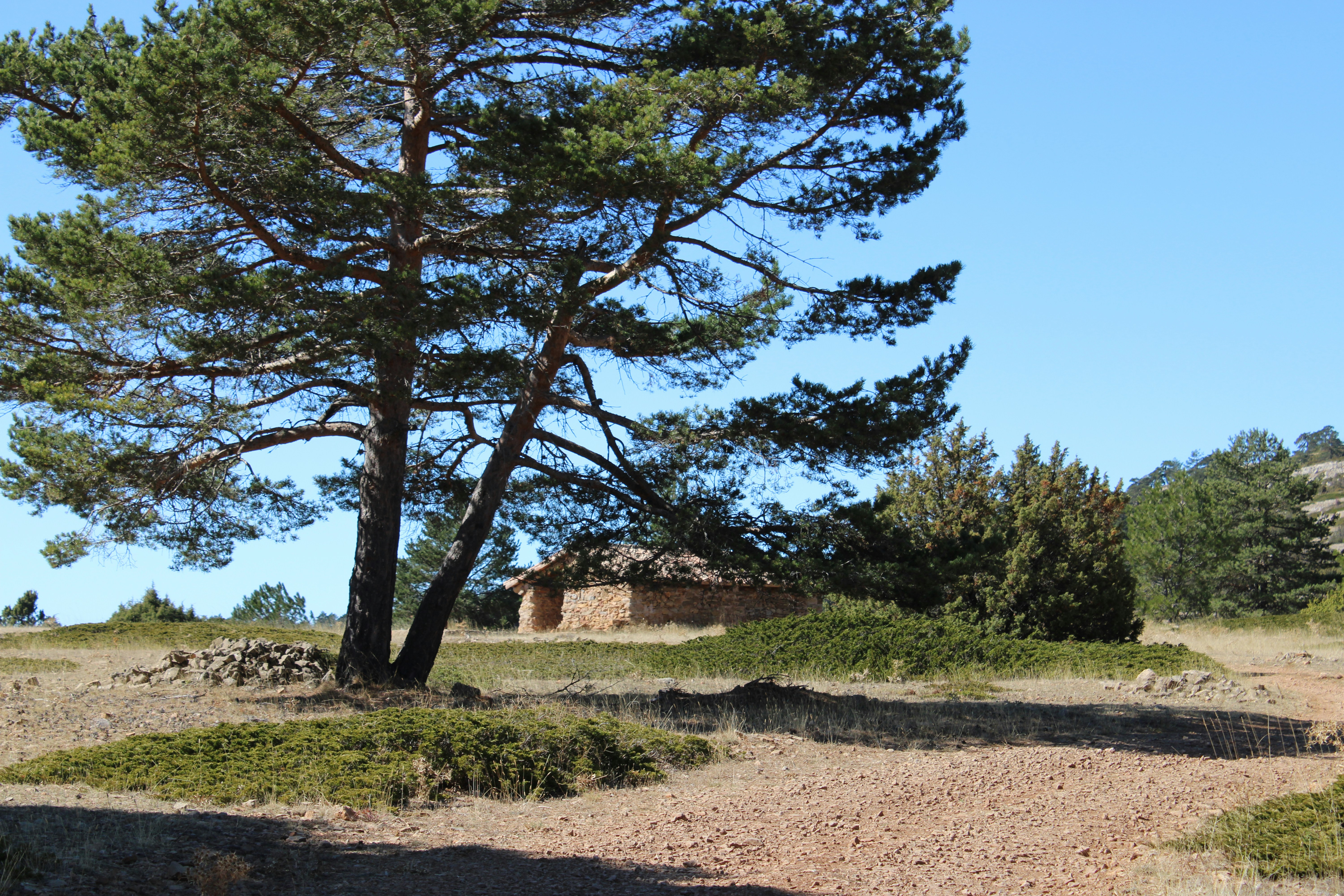 Photo by ludovico_06