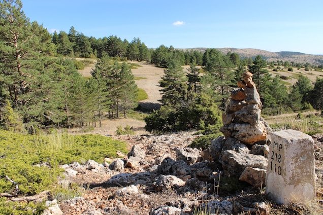 a pile of rocks sitting in the middle of a forest