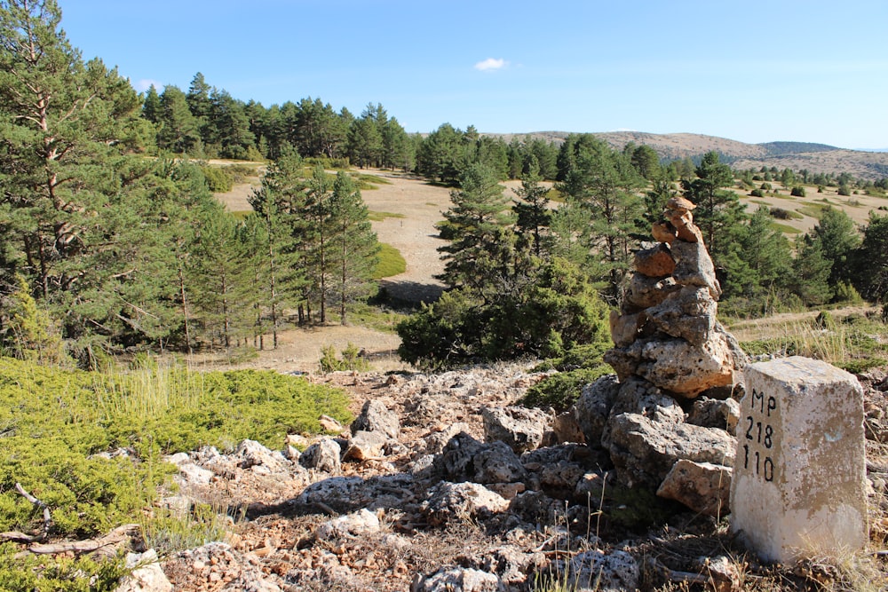 a pile of rocks sitting in the middle of a forest