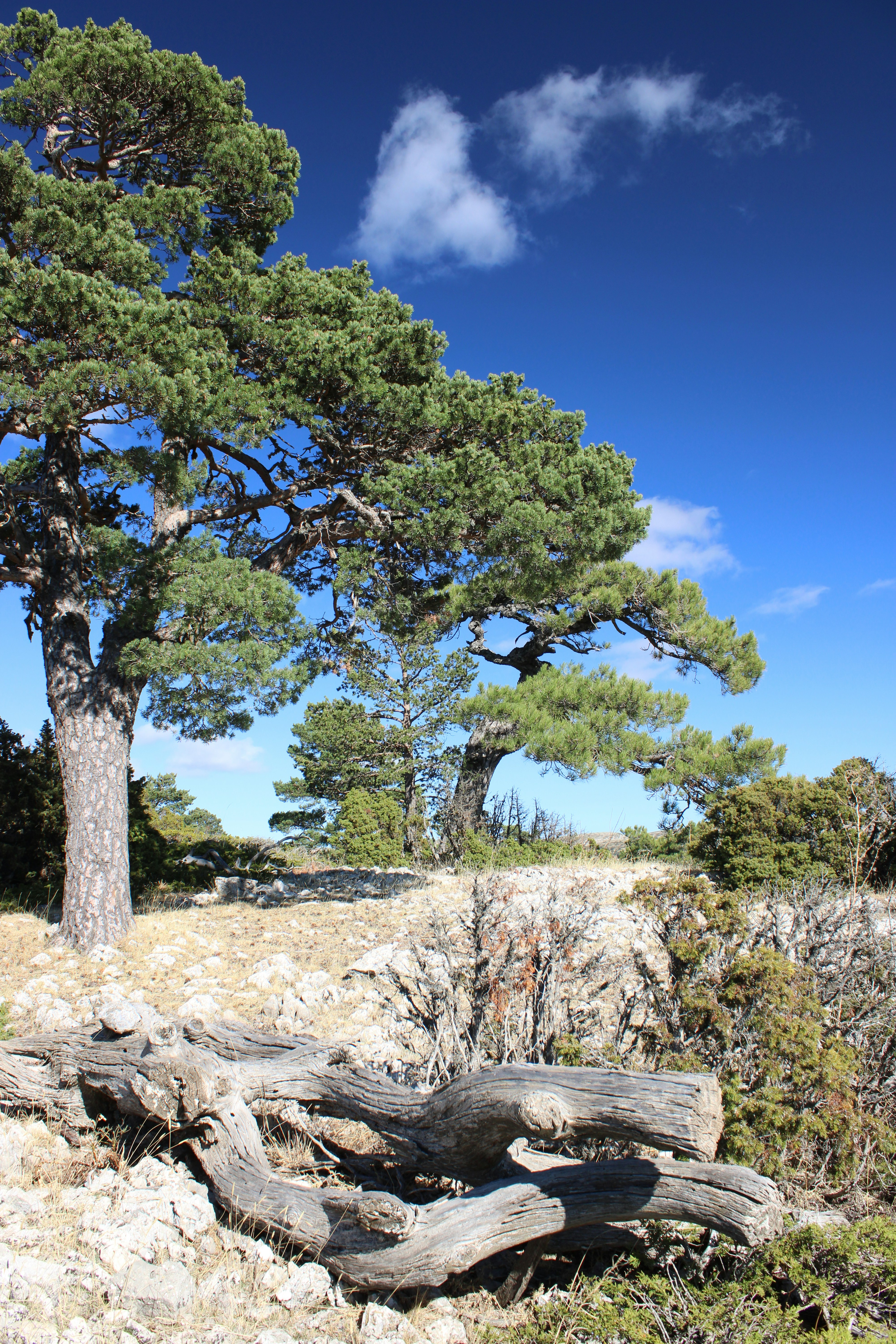 Photo by ludovico_06