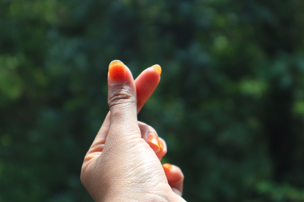 a person holding a small orange object in their hand