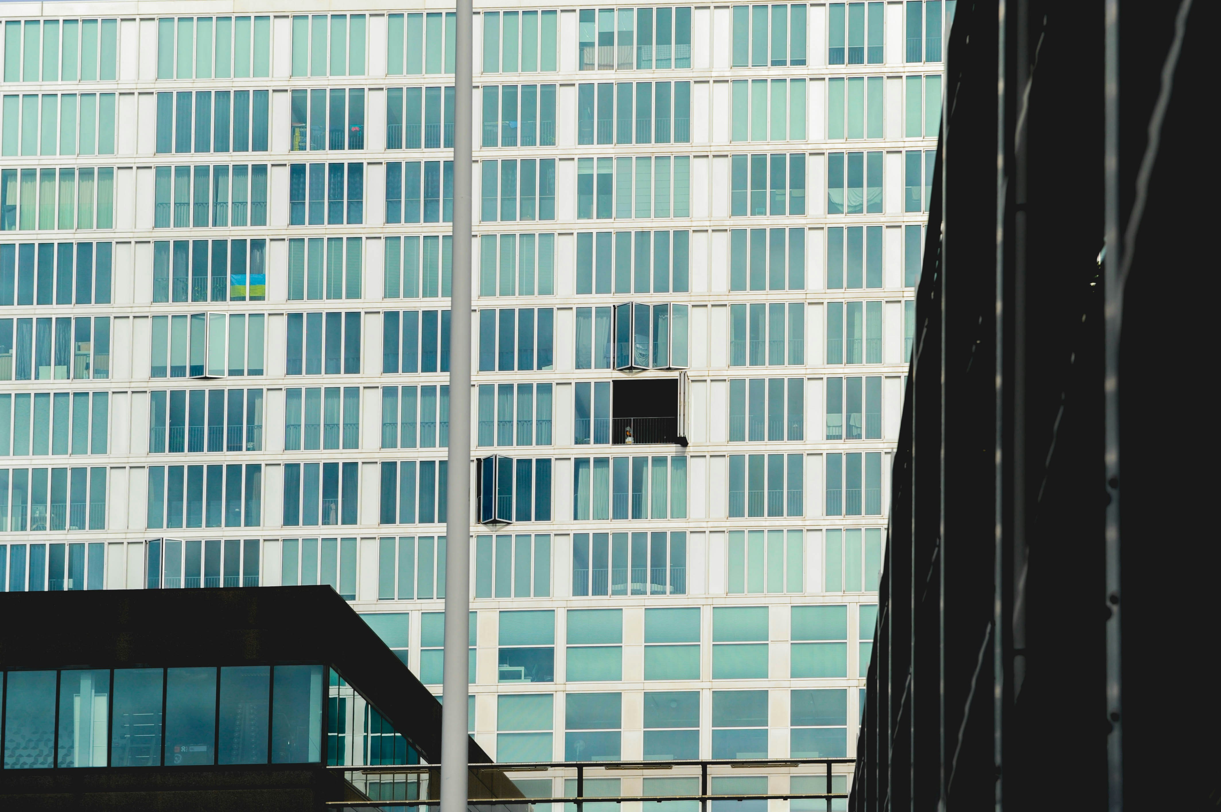 Photo by danielstiel