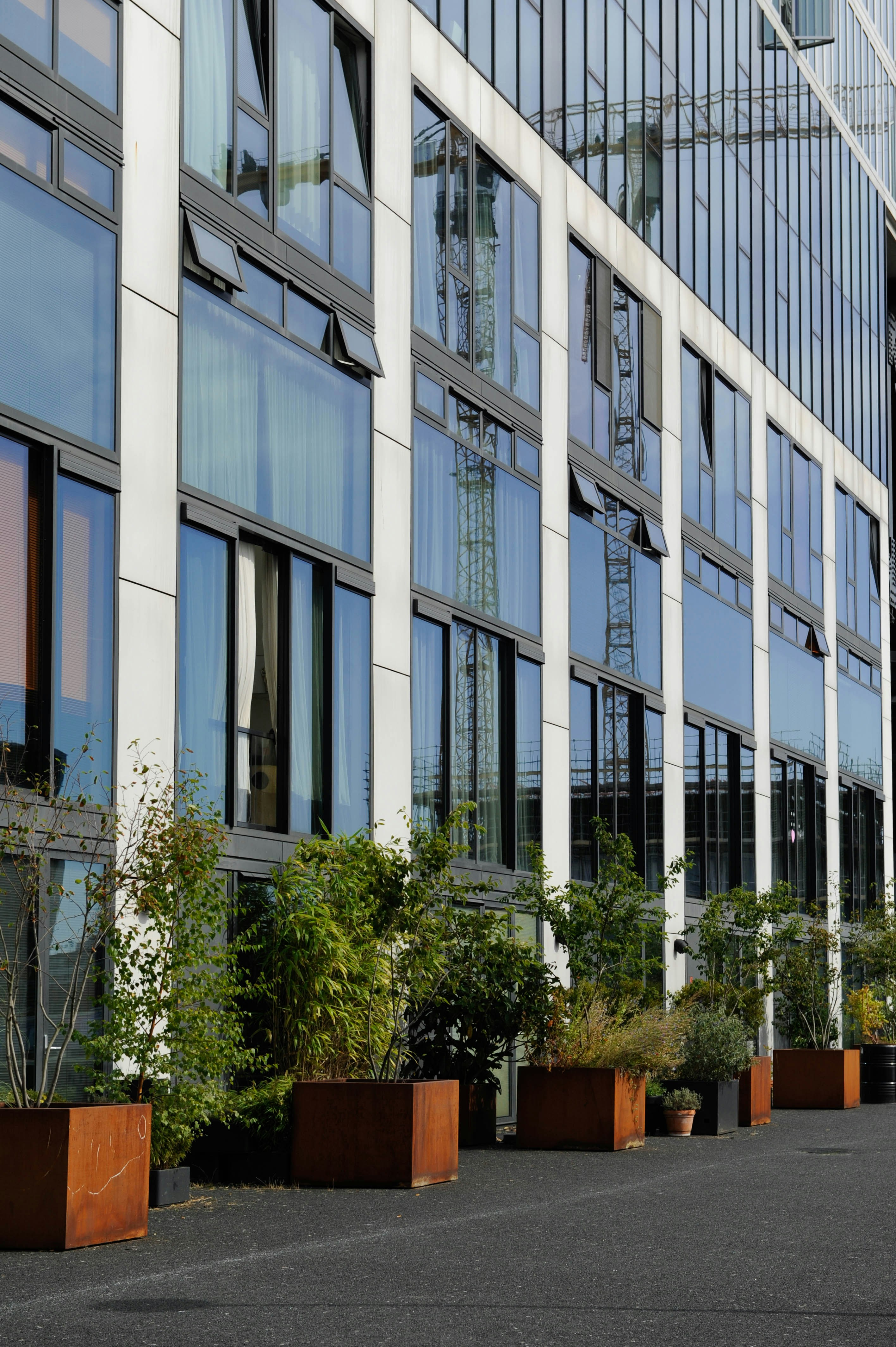 Photo by danielstiel