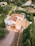 An aerial view of a Mediterranean-style villa surrounded by lush greenery and hedges. The house features red-tiled roofs and a spacious terrace with a smooth, circular pattern. There is a patio area with outdoor furniture and a driveway leading to the residence. The garden is well-maintained with tall trees and decorative plants, providing a serene and private atmosphere.