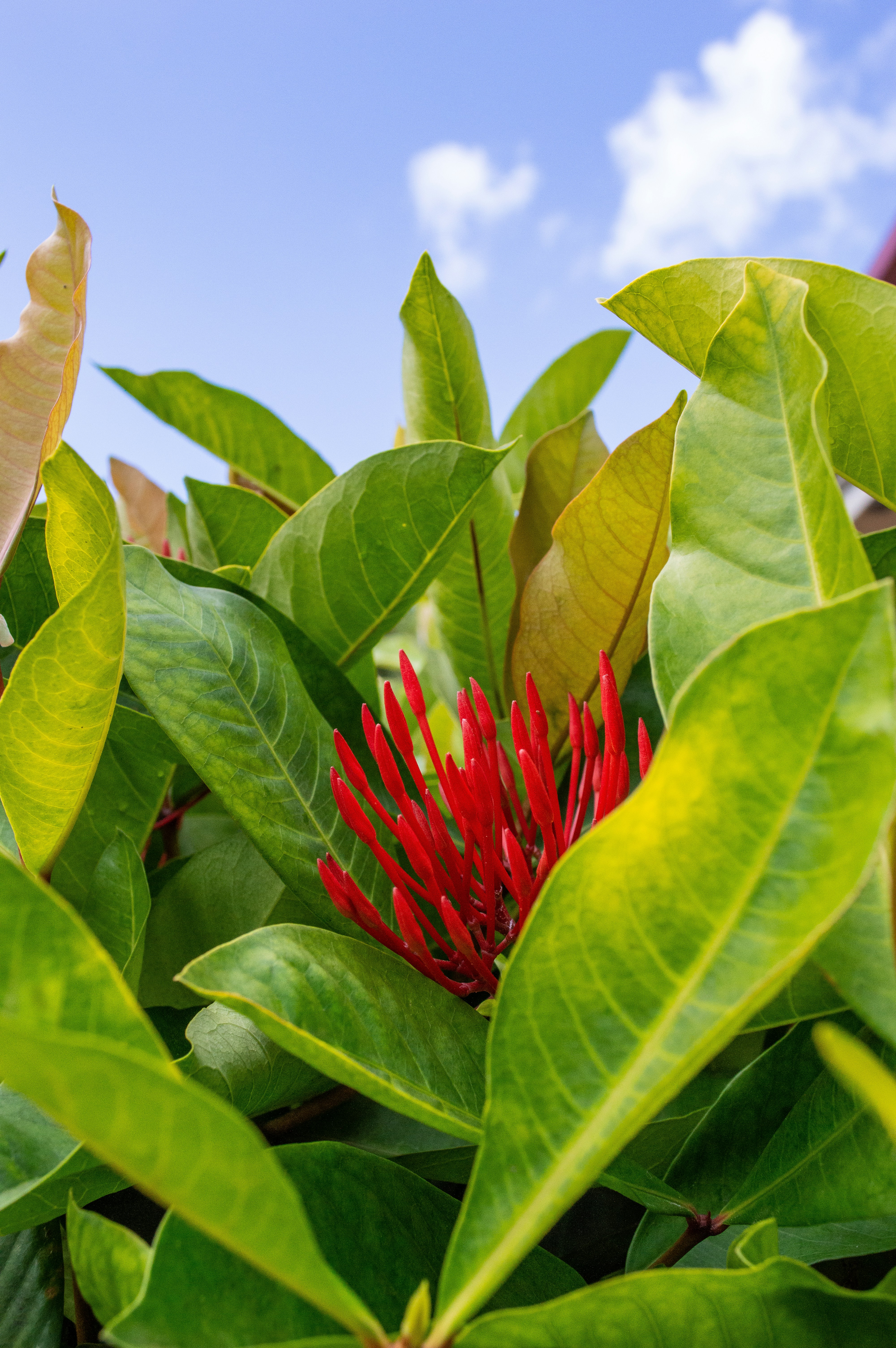 Photo by explorethewayside